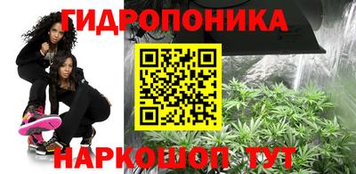 таблы Будённовск