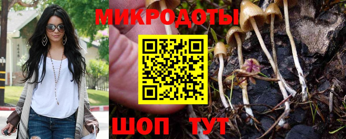 Псилоцибиновые грибы MAGIC MUSHROOMS  где продают   Вход с VPN  Новороссийск  Галлюциногенные грибы прущие грибы 